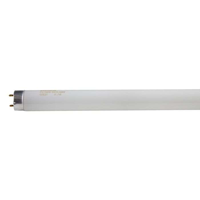Eurolux 18W Cool Daylight T8 Fluorescent Tube 604mm