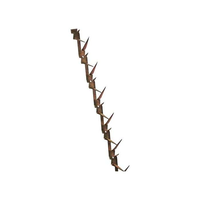 Buffalo Thorn Gold Wall Spikes