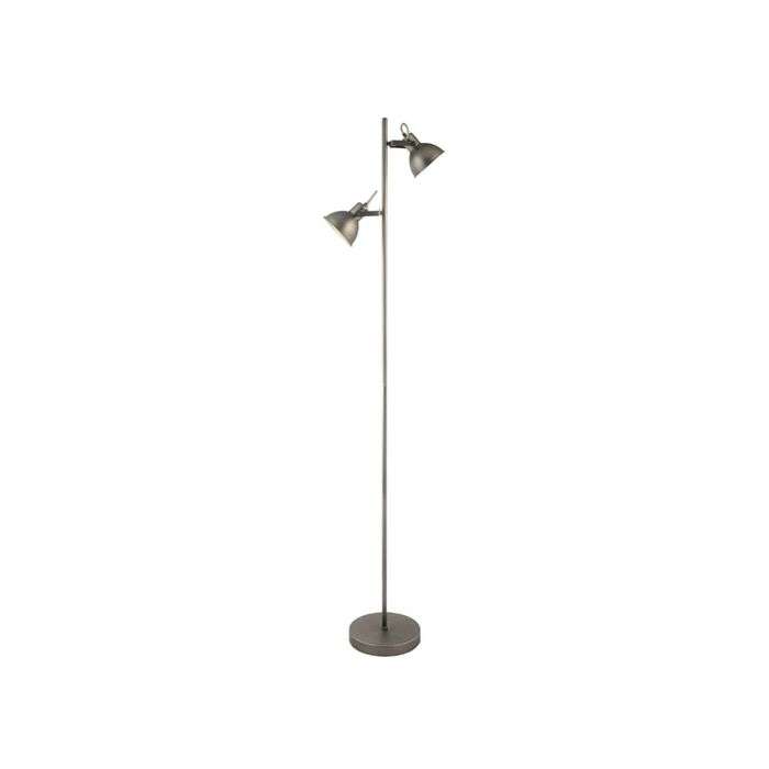 Bright Star Matt Antique Silver 2-Light Floor Lamp