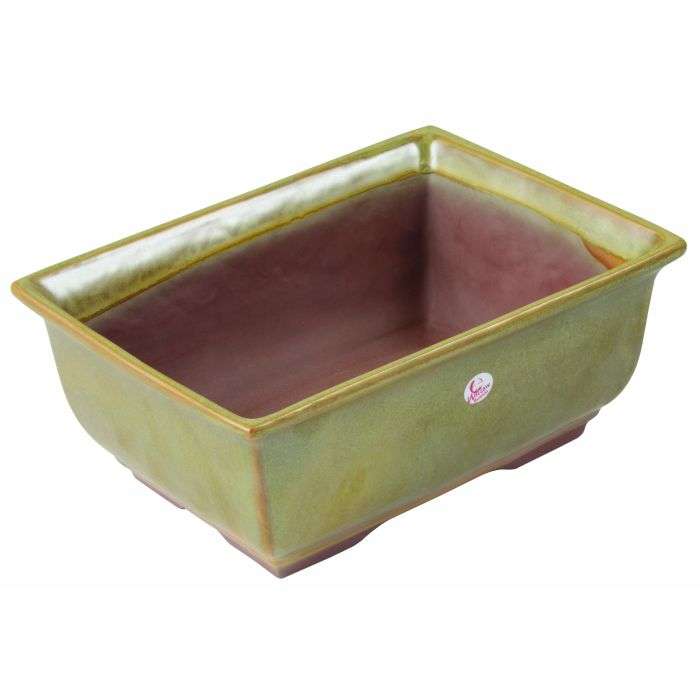 Salix Deep Rectangular Bonsai Pot 21 x 15 x 9cm