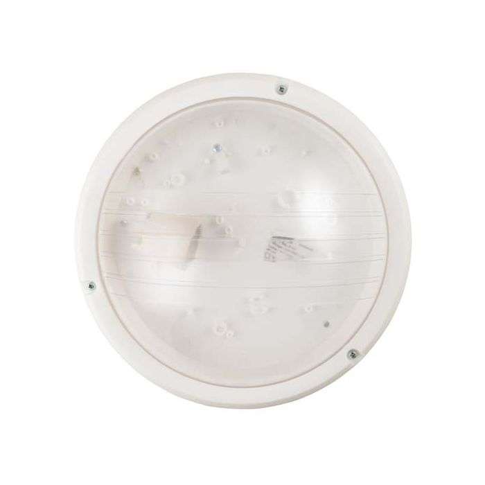 Radiant White Econo Bulkhead Fitting