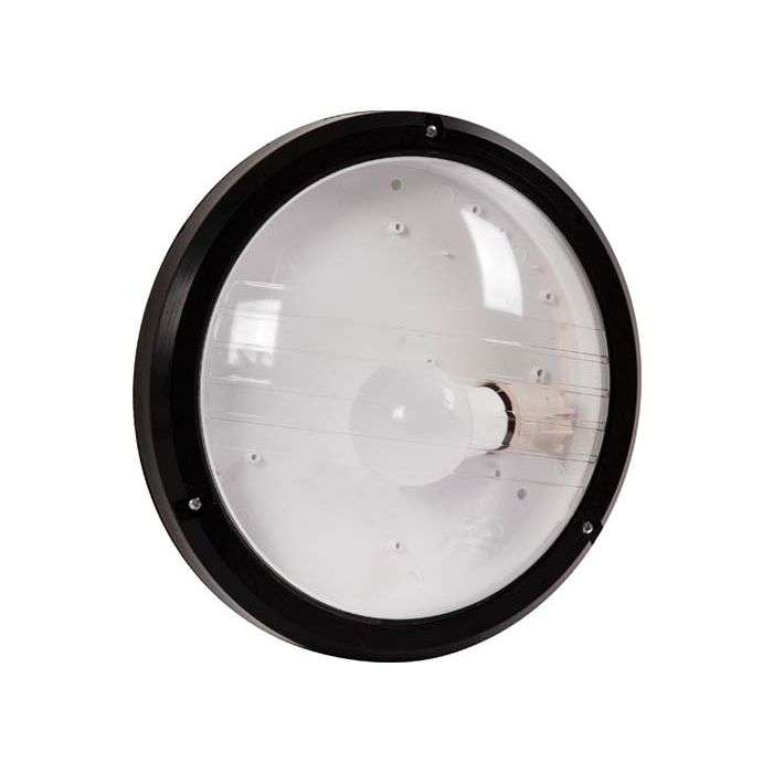 Radiant Black Eco Bulkhead Fitting