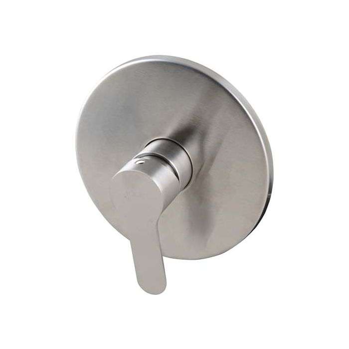 Icon Black Stainless Steel Aquarius Concealed Shower Mixer