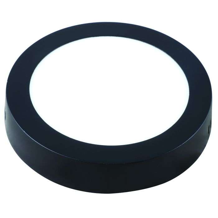 Bright Star Black 12W Cool White LED Ceiling Light 170mm