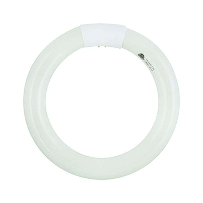 Radiant 22W Cool White T9 4-Pin Circuline G10Q Fluorescent Lamp