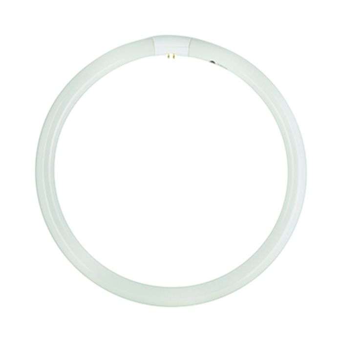 Radiant 40W Cool White T9 4-Pin Circuline G10Q Fluorescent Lamp