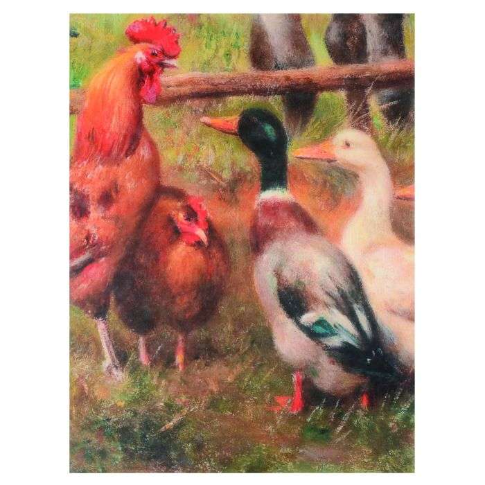 A.Shak A3 Feathered Fouls & Gander Tissue Paper