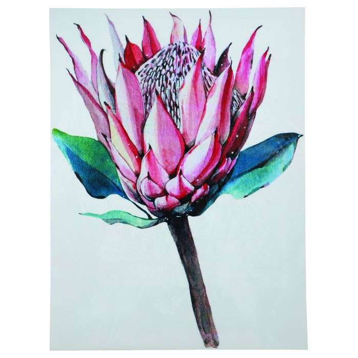 Tjhoko Protea Transfer Paper 52
