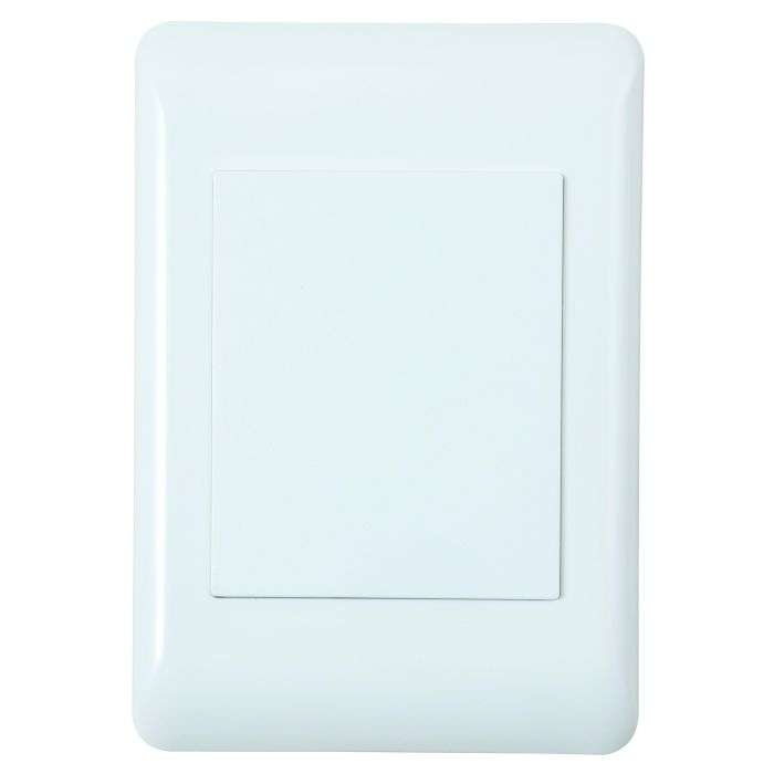 Lesco Apollo White Blank Cover Plate 2x4