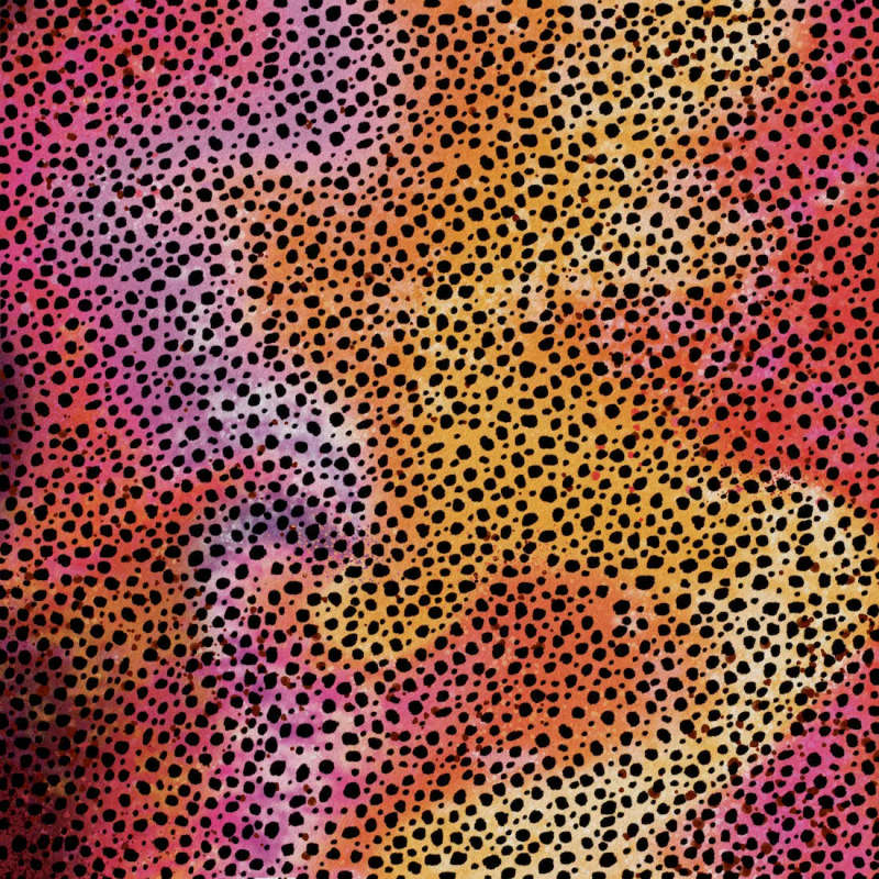 2008769 - Cricut Infusible Ink Transfer Sheets 2-Pack (Rainbow Cheetah) 12X12