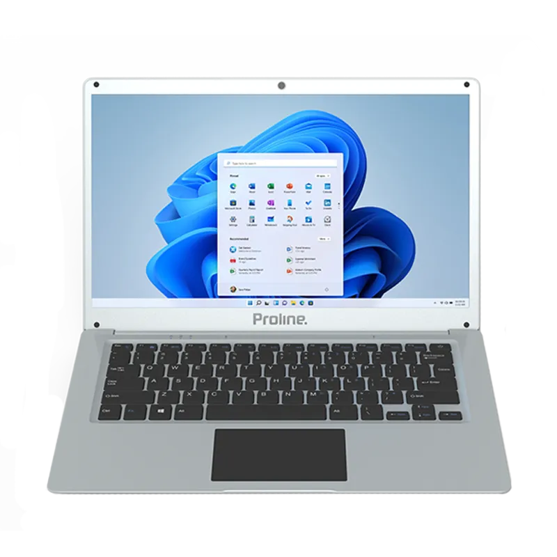 Proline V146 14" Celeron 8GB 256GB Win 11 Home Silver Notebook