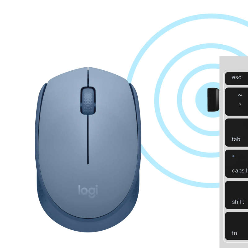 Logitech M171 Optical Wireless Office Mouse