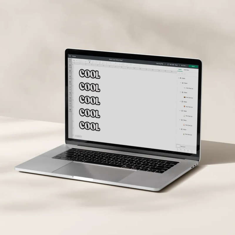 2010365 - Cricut Printable Vinyl Silver; 10 sheets 8.3 in x 11.7 in (21 cm x 29.7 cm); Requires i...