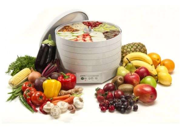 Ezidri Snackmaker Dehydrator - FD 500