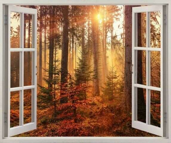 Canvas Windows