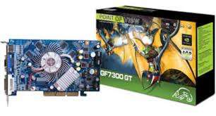 Point Of View 7300GT AGP 256MB Graphics Card