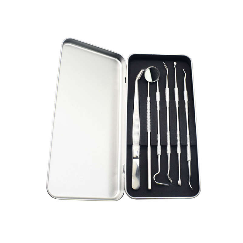 6 Piece Dental Tools Kit Teeth Cleaning Oral Care Kit