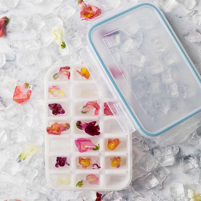 21 Cube Ice Container With Lid