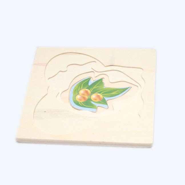 Multi-Layer Life Cycle Puzzle - Butterfly Puzzle