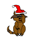 Racoon