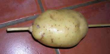 Potato on skewer - chip twisted in the making