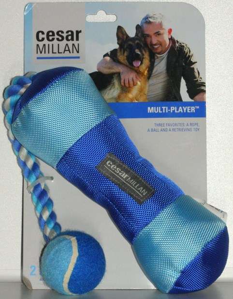 Cesar Millan Multi-player