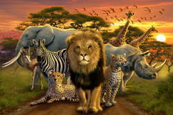 African Beasts (36pc Puzzle)