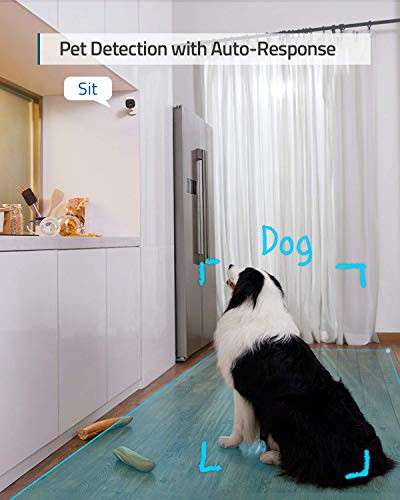Eufy Indoor Security Cam 2k Night Vision works with Voice Assistant