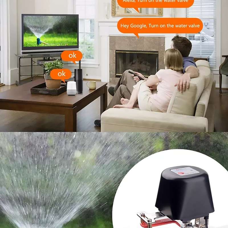 Ewelink Smart WiFi Electronic Water/Gas Control Valve