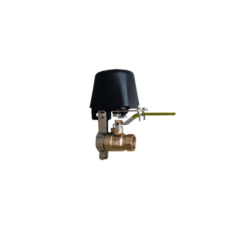 Ewelink Smart WiFi Electronic Water/Gas Control Valve