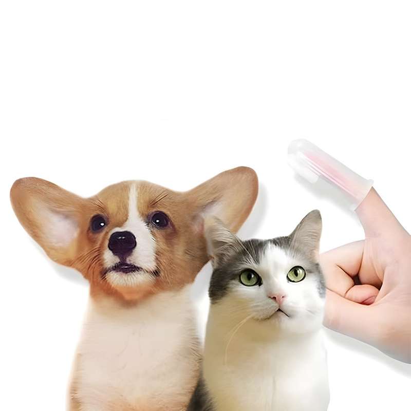 Silicone Finger Toothbrush - for Dogs & Cats