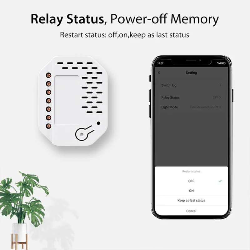 Tuya Matter Smart Wi-Fi Relay Switch - works with Siri- Alexa- Homekit & Google