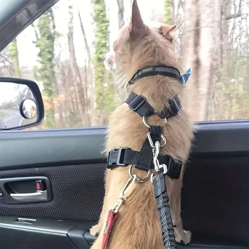 Adjustable Dog Car Harness (Seat Belt) - Features an adjustable strap for a comfortable and secur...