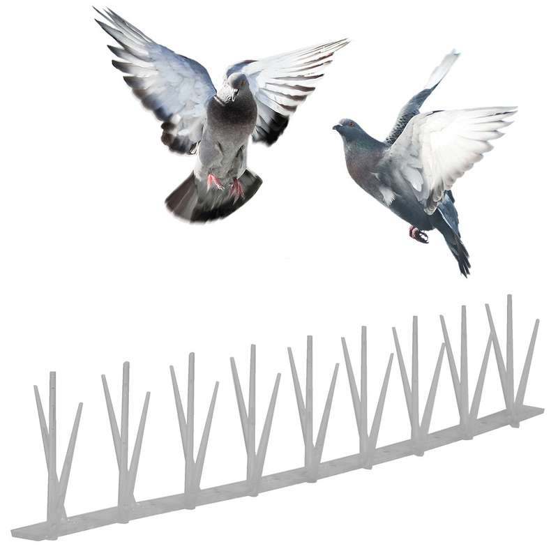 Bird Spikes (10m) - Durable & Effective / Clear (20 pcs)