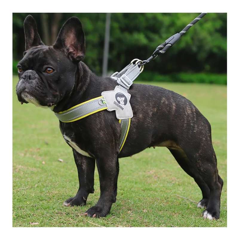 Dog Harness - Supportive Dog Harness for Enjoyable Walks (Multiple Colors) Black Medium