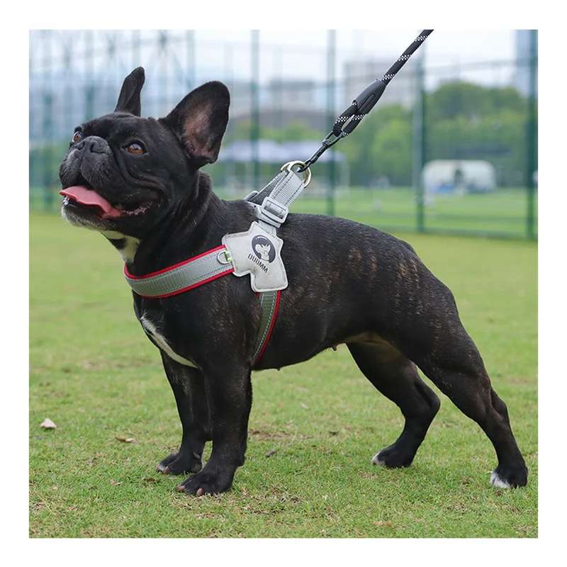 Dog Harness - Supportive Dog Harness for Enjoyable Walks (Multiple Colors) Black Medium