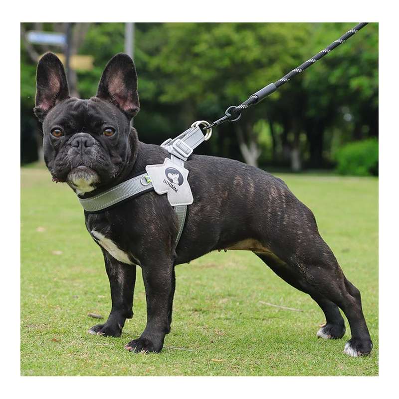 Dog Harness - Supportive Dog Harness for Enjoyable Walks (Multiple Colors) Black Medium