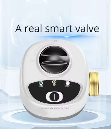 eWelink Smart WiFi Water Valve Shutoff For DN20