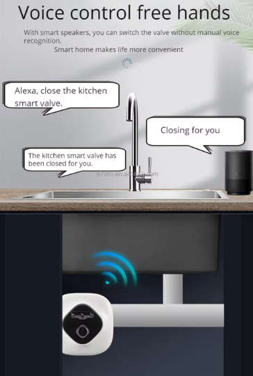 eWelink Smart WiFi Water Valve Shutoff For DN20