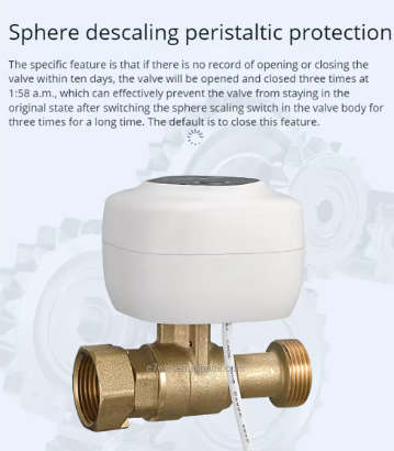eWelink Smart WiFi Water Valve Shutoff For DN20