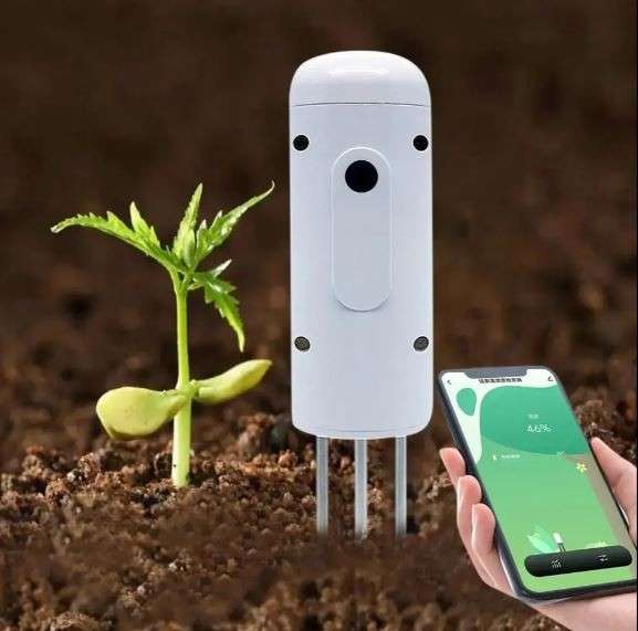 Tuya Smart Zigbee Soil Moisture and Temperature Sensor