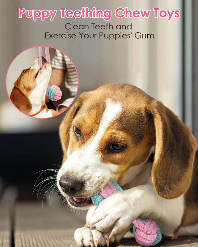 Puppy Teething Chew Toys & Dog Rope Toys for Aggressive Chewers | Safe & Durable | Set of 8