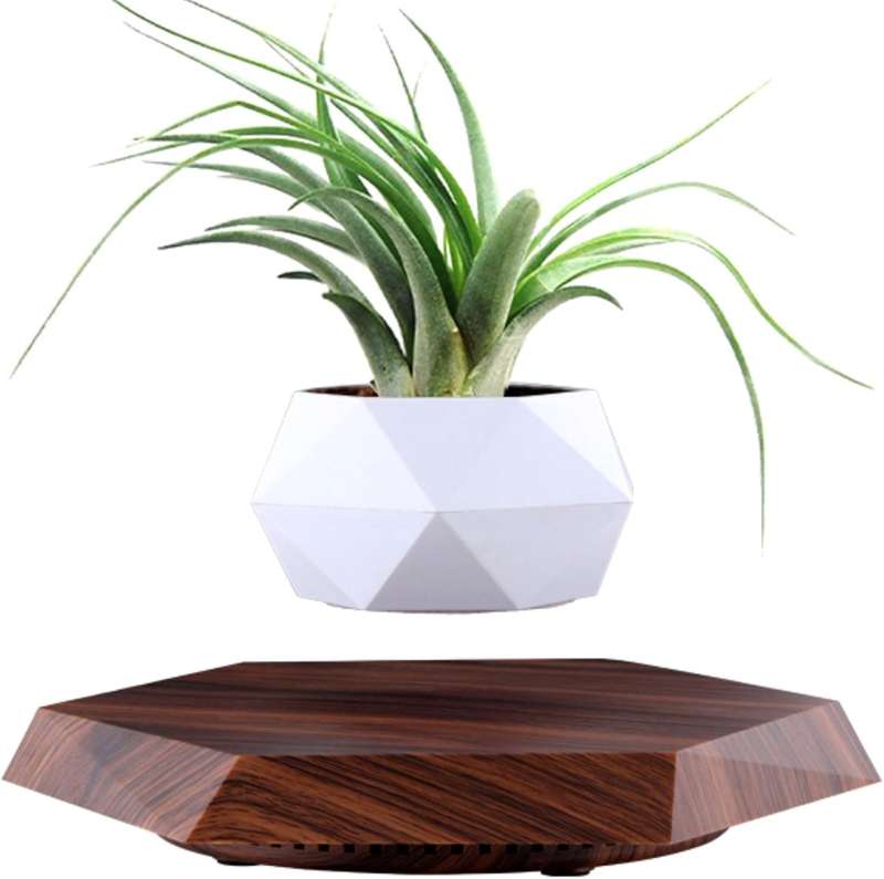 Magnetic Floating Levitating Pot Plant  Rotating Air Bonsai Planter- 360° Levitating Planter-...