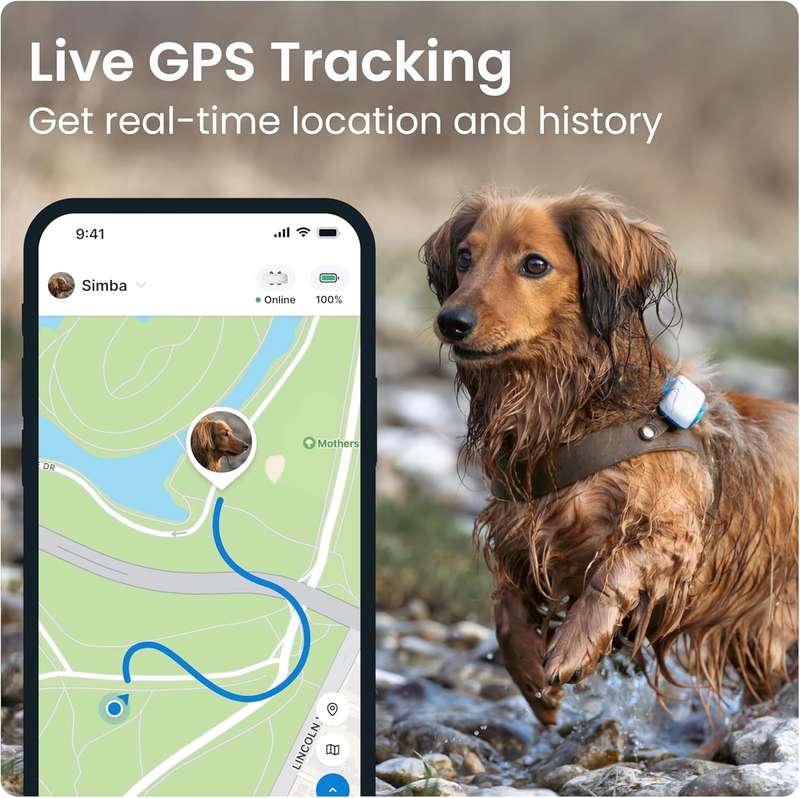 Tractive GPS Tracker for Dogs - Waterproof- Unlimited Range- Smart Pet Activity Tracker