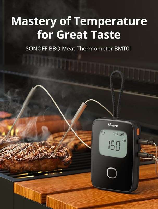 Sonoff BMT01 Meat Thermometer (Braai - Oven - Grill etc)