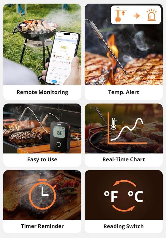 Sonoff BMT01 Meat Thermometer (Braai - Oven - Grill etc)