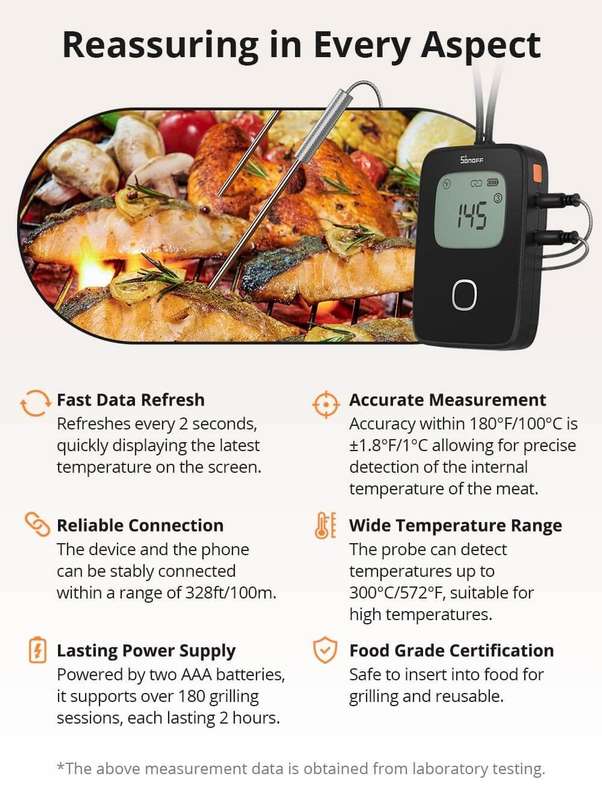 Sonoff BMT01 Meat Thermometer (Braai - Oven - Grill etc)