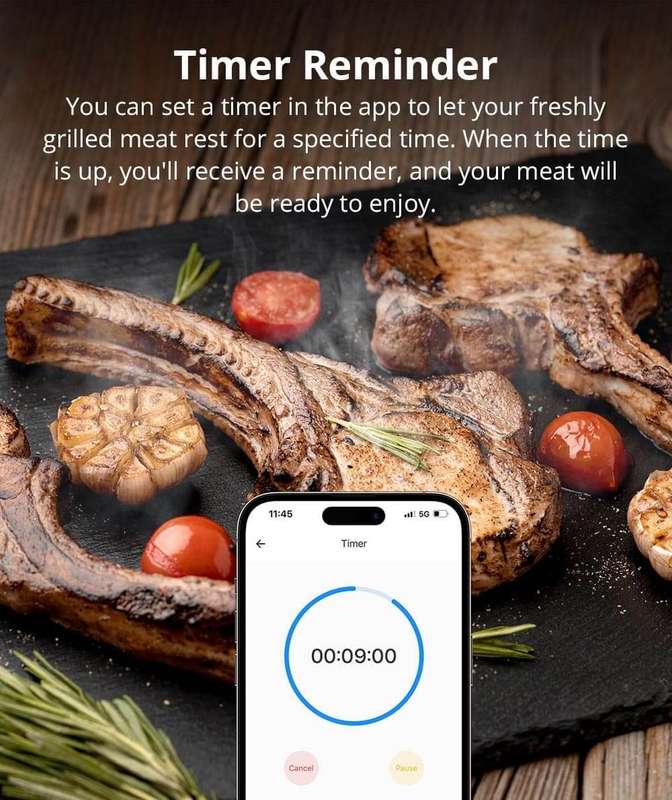Sonoff BMT01 Meat Thermometer (Braai - Oven - Grill etc)
