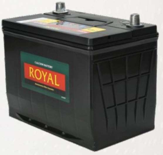 Royal Delkor NS70 65AH Deep Cycle Battery - 12 Volt