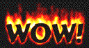 flaming_wow.gif - (36K)